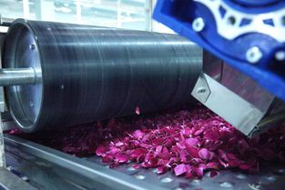 全面革新 探秘嘉華食品“花工廠”技術升級之道